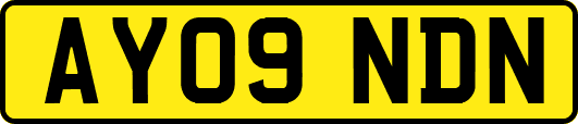 AY09NDN