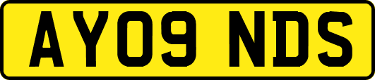 AY09NDS