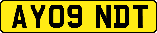 AY09NDT