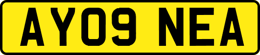 AY09NEA