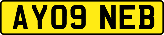 AY09NEB