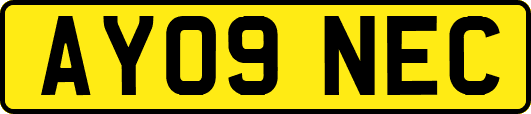 AY09NEC