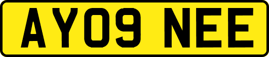 AY09NEE