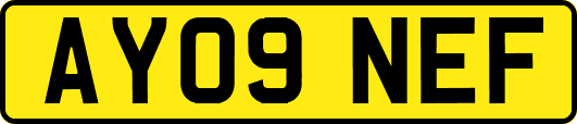 AY09NEF