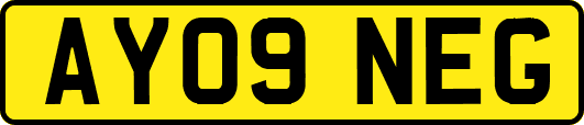 AY09NEG