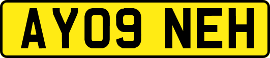 AY09NEH