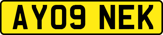 AY09NEK