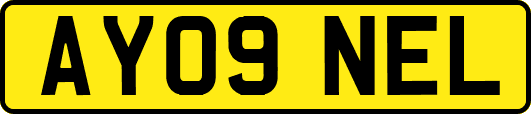 AY09NEL