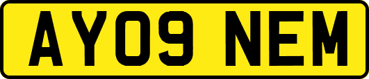 AY09NEM