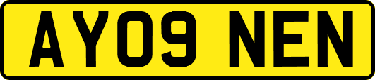 AY09NEN