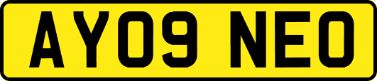 AY09NEO