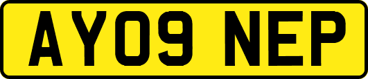 AY09NEP
