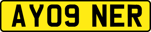AY09NER
