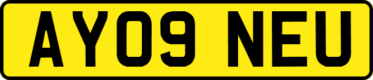 AY09NEU
