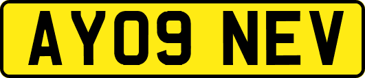 AY09NEV