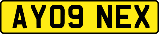 AY09NEX