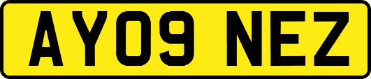 AY09NEZ