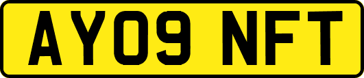 AY09NFT
