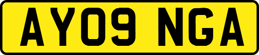 AY09NGA