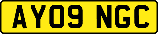 AY09NGC