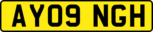 AY09NGH
