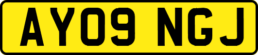 AY09NGJ