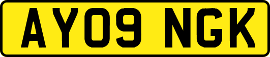 AY09NGK