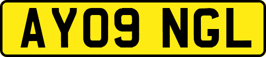 AY09NGL