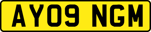AY09NGM