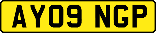 AY09NGP