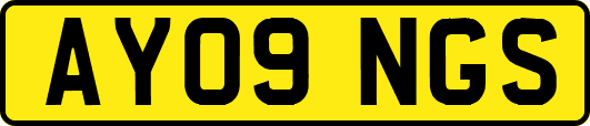 AY09NGS