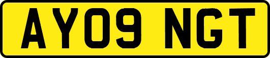 AY09NGT