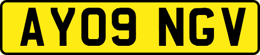 AY09NGV