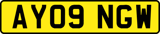 AY09NGW