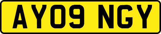 AY09NGY