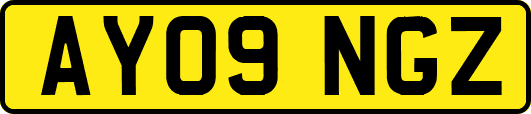AY09NGZ