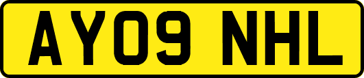 AY09NHL