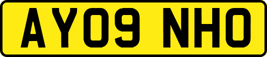 AY09NHO