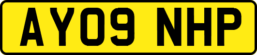 AY09NHP