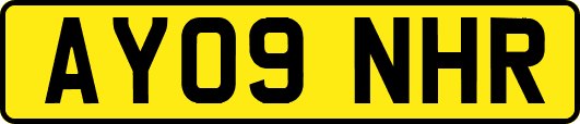 AY09NHR