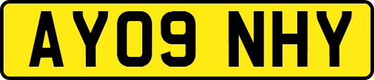 AY09NHY