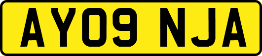 AY09NJA