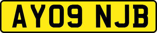 AY09NJB