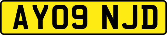 AY09NJD