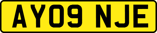 AY09NJE