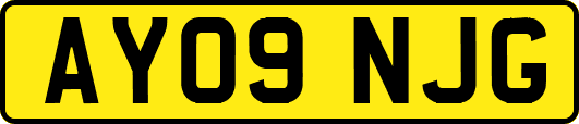 AY09NJG