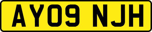 AY09NJH
