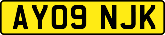 AY09NJK