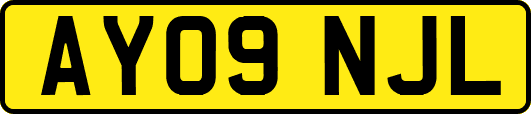 AY09NJL