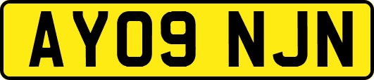 AY09NJN